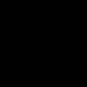 Meet your Posher, Nicholas